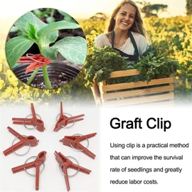200 Pcs Gardening Work Easy Plant Round Mouth Grafting Clips Vegetable Clips Plant Grafting Clips for Cucumbers, Eggplants and Watermelon