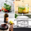 CAFEZAYO Glass Simmer Pot with Lid, Clear Glass Saucepan, 1.9L/64OZ,