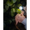 moses Expedition Nature Bracelet Light Clip & Move with Mini