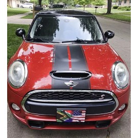 Oracal MATERIAL 17" Racing Stripe Stripes Graphics Decals fits S Mini Countryman Cooper Clubman