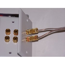 Speaker Wall Plate 4 Post for 2 Speakers and Color Coded for Home Theater Systems. Our in Wall Speaker Wall Plates Provide an Easy Professional Clean Look.