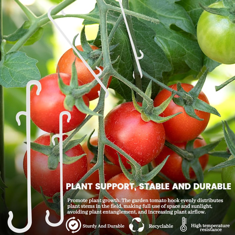 SANOU Tomato Hooks Pack of 100 Tomato Hooks with 60