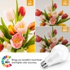TOBUSA A21 150 Watt Equivalent LED Light Bulbs, 2200 Lumens