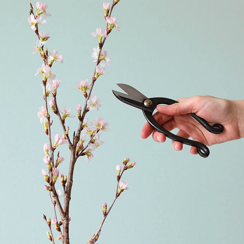 Wazakura Ikenobo Classic Ikebana Floral Scissors 165mm Made in Japan