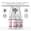 Netzeband Kidney Support Complex Unterstützung Nierenfunktion 300 - Kapseln