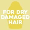 Ogx Hydrate & Defrizz + Kukui Oil Anti-Frizz Hydrating Oil