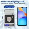 Gemini-50 Milligram Scale – Digital Jewelry/Lab Scale for Powder, Gold,