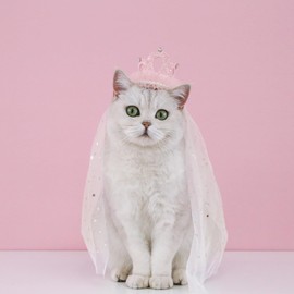AWOCAN Pet Veil Dress Cat Dog Bridal Veil Dog Crown Headband Birthday Wedding Party Hair Accessories Photo Prop Costume (PINK)