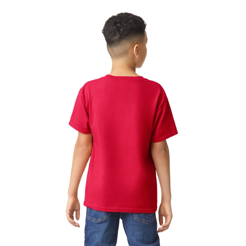 Gildan Youth Heavy Cotton T-Shirt, Style G5000B, 2-Pack, Red, Small