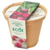 Ecot Planting Kit and Pot