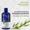 Avalon Organics Acondicionador Espesante con Complejo B de Biotina, 14