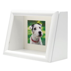 Kenko PS-MB-2L-WH Display Box, 6.6 gal (2 L), White Front Magnetic