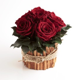 ROSEMARIE SCHULZ Heidelberg Rose Arrangement 6 Preserved Roses Long Lasting 3 Years Flower Arrangement Farmhouse Flower Decoration Table (Dark Red)