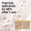 Bondi Boost Bond Builder+ Trio Bundle