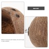 Kisangel Coconut Shell Nest Coconuts Parrot House Bird Nests for