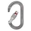 PETZL Ok Screw Lock Grey - Lightweight Oval Aluminium Safety