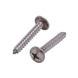 No. 12 x 1-1/2" Stainless Truss Head Phillips Wood Screw, (25 pc), 18-8 (304) Stainless Steel Sheet Metal Screws, Type A Point, Plain Finish by Bolt Dropper