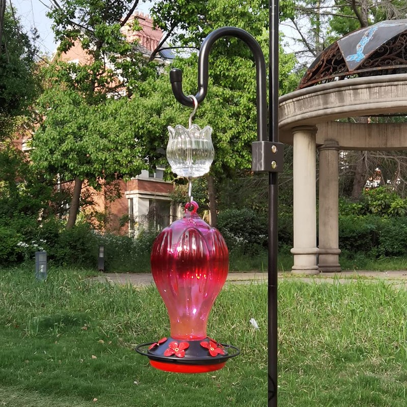 Glass Ant Moat for Hummingbird Feeder - 2PC x 3