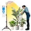 Plant Grow Light indoor,264 LEDs Full Spectrum Plant Light with
