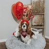 Disfraz de perro de San Valentín, diadema de corazón rojo