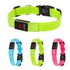 Light Up Dog Collars, LED Dog Collar Light Adjustable USB
