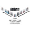 TRUE SPIKE 9 inch SILVER PENETRATOR FAT BULLET ANTENNA with