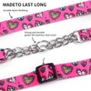 haoyueer Martingale Dog Collar - Stainless Steel Chain, No Pull