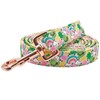 Elegant little tail Dog Leash, St. Patrick's Strong Dog Leash
