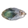 Banko Ware 16052 Iga Kinsai Park Leaf Long Plate for