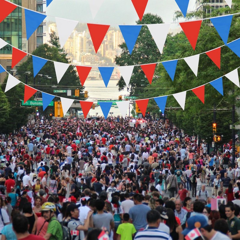 80pcs Waterproof Fabric Bunting,40m Red Blue and White Bunting for