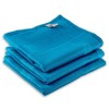 Elexaclean Microfibre Tea Towel Set - 68 x 42 cm