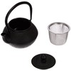 Vier Ten Cast Iron Teapot 0.3 Litre