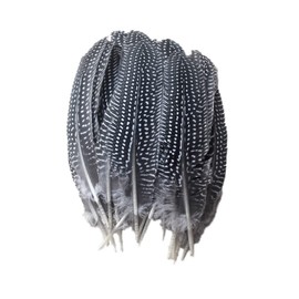 Operitacx 50pcs Pheasant Feathers Party Decor Natural Feathers Decorate Fan Pearl