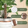 Stackable Mesh Moss Pole for Indoor Plants Monstera Climbing Plants