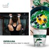 Avelit Superfoods | Espirulina en polvo 200g | 100% Natural