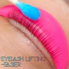 Lash Lift Shields Crystal Eyelash Perm Rods Lami Lamination Roller