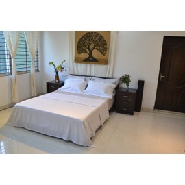 Organic Cotton Long Staple Silky Soft Single Pick Sateen Bed Sheet Set - Luxurious & Premium Hotel Quality - GOTS Certified - Printed & Dyed Combination - Deep Pocket - Easy Care - Queen