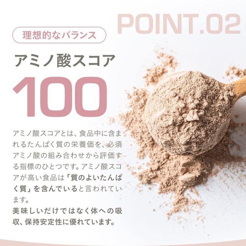 GoCLN (ゴークリーン) ソイプロテイン 植物性100%原料 プロテイン 無添加 国産 ビーガン 600g 甘さ控えめ