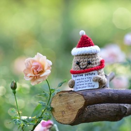 KALAWALK Cute Positive Funny Potato Crochet Knitted 3 inch Knitting Inspirational Potato Cheer Up Gifts for Friends Family Party or Decoration Encouragement (doll01)