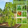 2 Pack 50" Tall A Frame Trellis for Climbing Plants