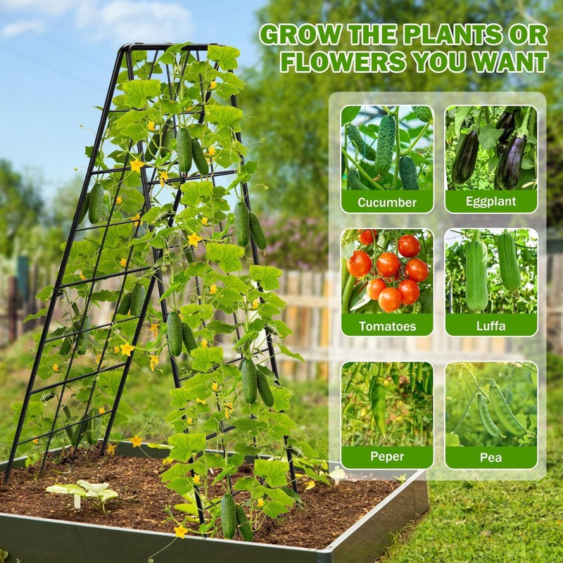 2 Pack 50" Tall A Frame Trellis for Climbing Plants