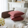 Rythome Set of 2 Velvet Throw Pillow Covers for Couch