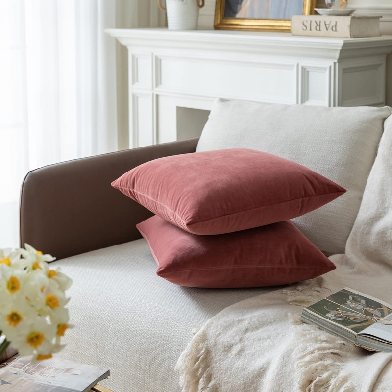 Rythome Set of 2 Velvet Throw Pillow Covers for Couch
