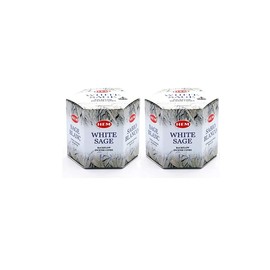 Backflow Incense Cones |White Sage | Pack of 2 Boxes | Total 80 Cones| HEM