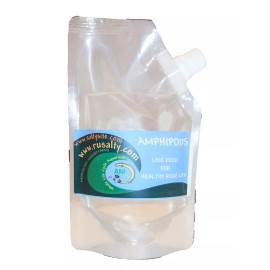 500 Amphipods + Free 16 oz Tisbe 6,000 Pods Live Copepods