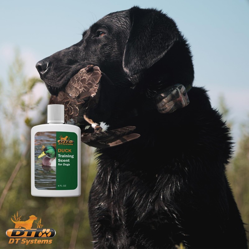 Training Scent Duck 4oz