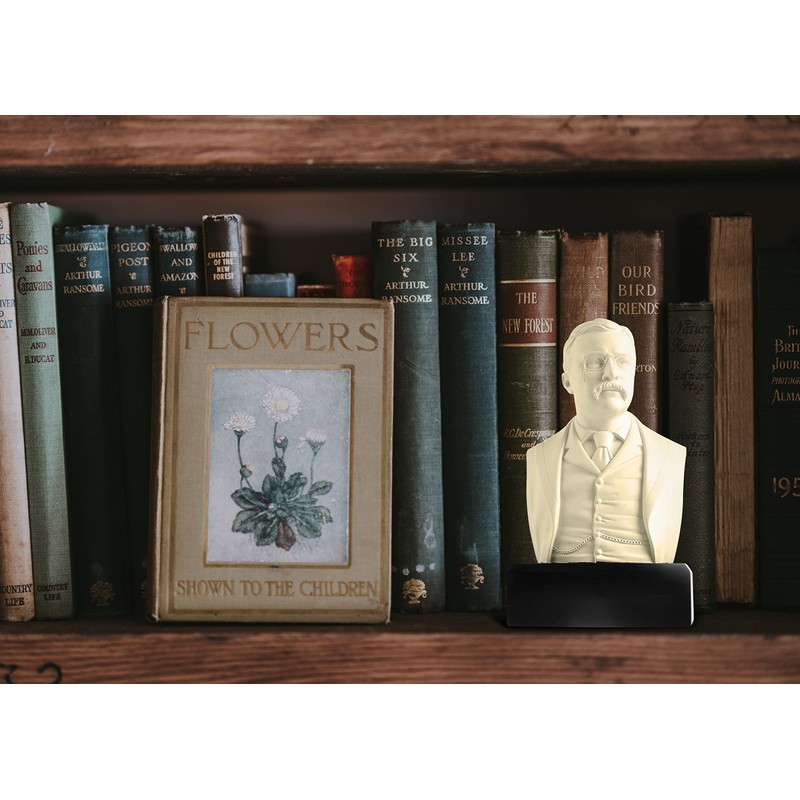 JFSM INC. President Theodore Roosevelt Historical Bust Collectible Memorabilia -