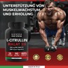 Bandini® L-Citrulline Malat 2:1 | 3000 mg Citrulline (1000 mg