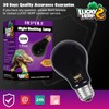 LUCKY HERP Reptile Heat Lamp 50W 2 Pack, Reptile Night