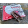 YUM Hellgrammite Soft Plastic Bug - 3 Inch